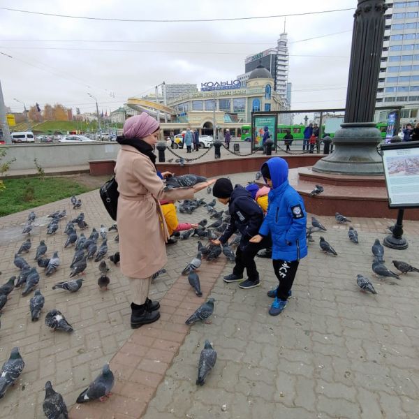 IMG 20200103 WA0028